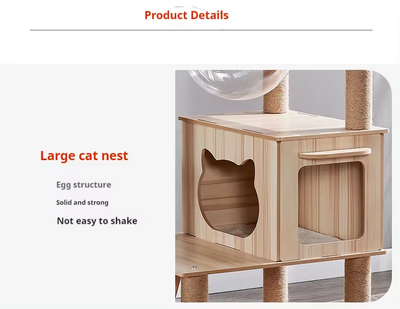 1718246613493 1718246613493